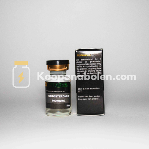 Testosterone P 100mg van Ox Pharma kopen
